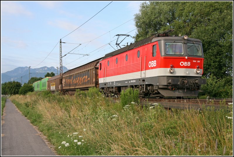 Die Innsbrucker 9181 1144 231-8 bringt gegen 07.41 bei Rosenheim den 42156  HANGARTNER-EXPRESS , Verona-Rostock Seehafen, nach Mnchen. (29.06.07)