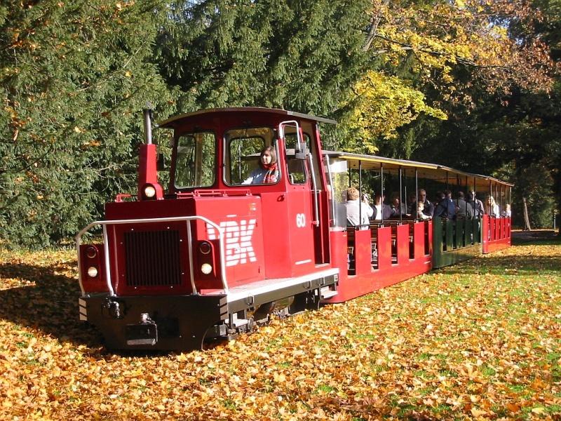 Die kleine Diesellok der Karlsruher Schlo�gartenbahn durchpfl�gt am 29.10.2005 mit ihren Waggons das Herbstlaub. Auch wenn es auf dem Bild nicht so aussieht: der Zug f�hrt tats�chlich auf Schienen... ;-)