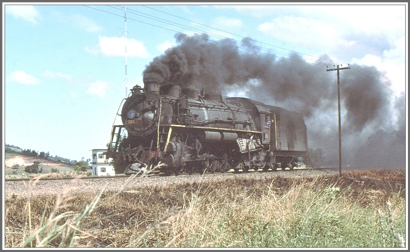 Die kohlegefeuerte 301 ist eine der mchtigsten Meterspurloks neben einigen 1981 angelieferten Dampfloks der Argentinischen Staatsbahn.
(Archiv 04/1981)