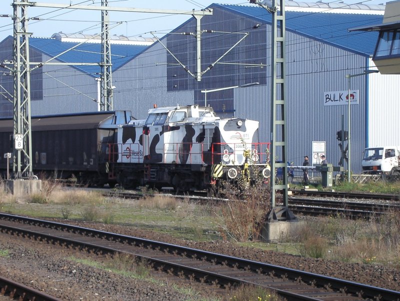 Die  Kuh-Lok  der Weserbahn (1001) rangiert am 8.11.2005, 11.48 Uhr im Hafen von Brake/Utw.