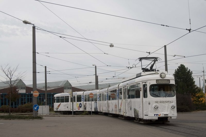 Die lngste Zeitung der Welt - ein lang land Drgemer. 1022 in Rheingnnheim.