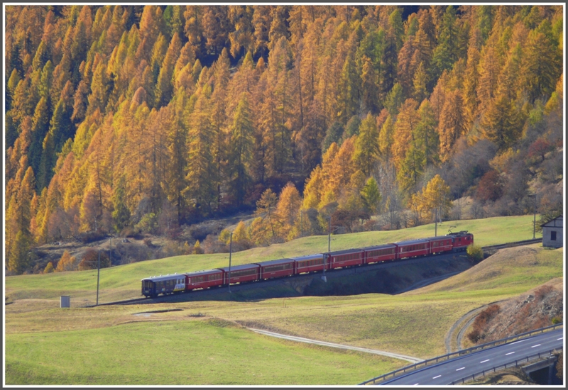 Die Lrchenwlder im Unterengadin prsentieren ihre Farbenpracht whrenddem IR 1244 Richtung Guarda verschwindet. (29.10.2009)