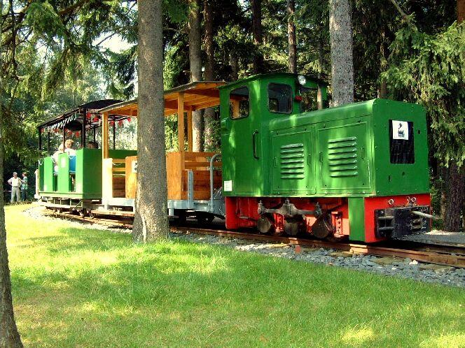 Die Lichtenhainer Waldeisenbahn am Bhf.Bergstation. Betrieben wird diese Feldbahn vom Jenaer Eisenbahn Verein e.V.