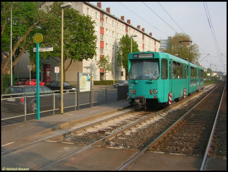 Die Linie U5 vom Hauptbahnhof nach Preungesheim hat nur vier unterirdische Stationen, der Rest der Strecke verluft oberirdisch auf weitgehend eigenem Gleiskrper. Am 06.05.2006 fuhr der Ptb-Triebwagen 700 auf dem 4. Zug nach Preungesheim in die Station
Theobald-Ziegler-Strae ein.