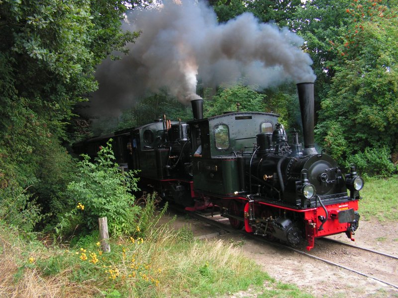Die Lokomotiven  Franzburg  und  Hoya  treffen am Hp Vilser Holz ein.
Die Lokomotive  Hoya  wird aufgeheizt um die  Franzburg  auf der zu bew�ltigenden Steigung zu Unterst�tzen.