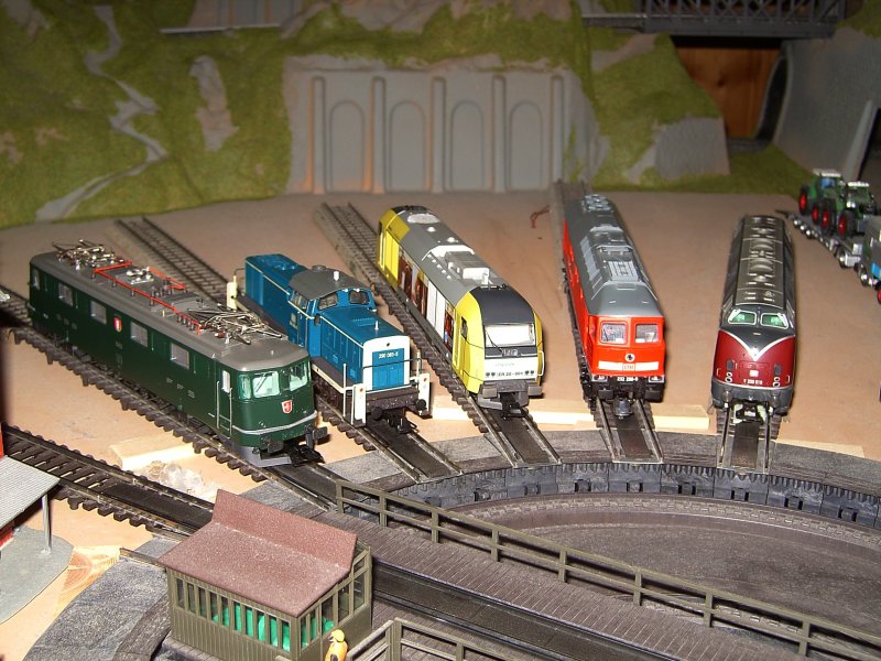 Die Loks von Links nach Rechts im BW: Die Ae 6/6, die V 90 Von Tobias Schuminetz, der ER 20 001, die 232 286 und die V 200 018 