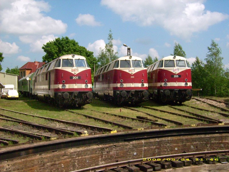 Die MEG-Loks 201, 203 und 205 wurden am 24.05.08 fotogen auf dem Weimarer Eisenbahnfest pr�sentiert.