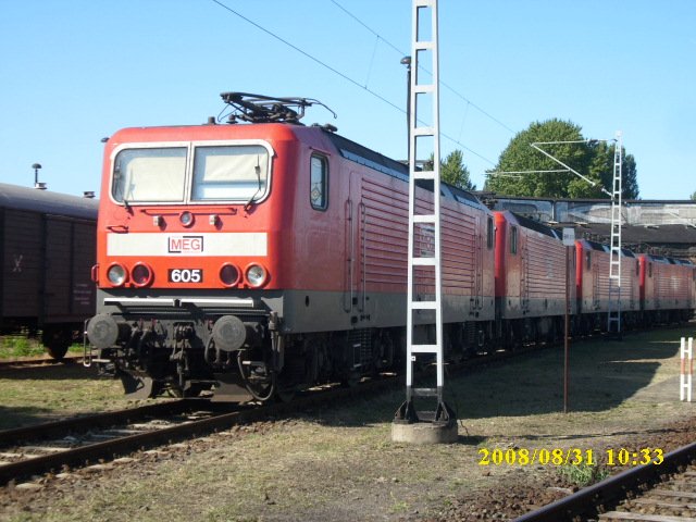 Die Mitteldeutsche Eisenbahngesellschaft(MEG) mit den Loks 605(143 344),603(143 851),602(143 204) und 606(143 864) am 31.08.2008 in der Einsatzstelle Berlin Lichtenberg.