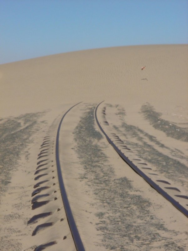 Die Namib-Wste wie sie lebt! Die Wstenbahn wie sie ist! Die Sdbahnstrecke nach Lderitz verschwindet unter einer Wanderdne. Die Querung des Dnengrtels stellt grosse Herausforderungen.