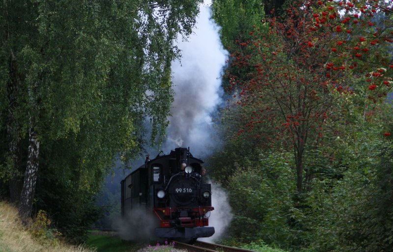 Die Neubau IV K 99 516 ist am 06.09.09 kuz vor dem Bahnhof Schnheide unterwegs.