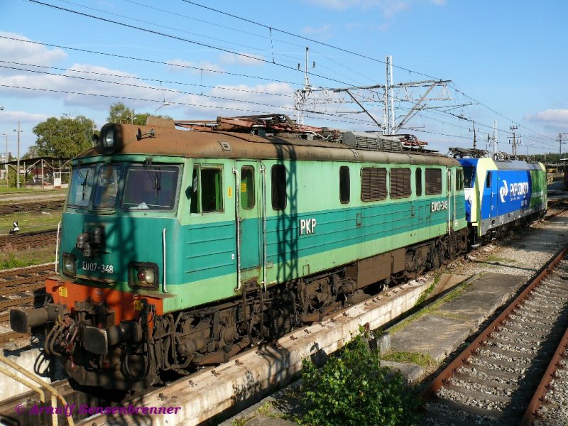 Die PKP EU07-348 mit den gewhnungsbedrftigen viereckien Scheinwerfereinfassungen, welche diese Lok, aus der von Cegielski 1983-94 gebauten spten Nachbauserie, erhielt.
27.09.2008  Rzepin (Reppen)