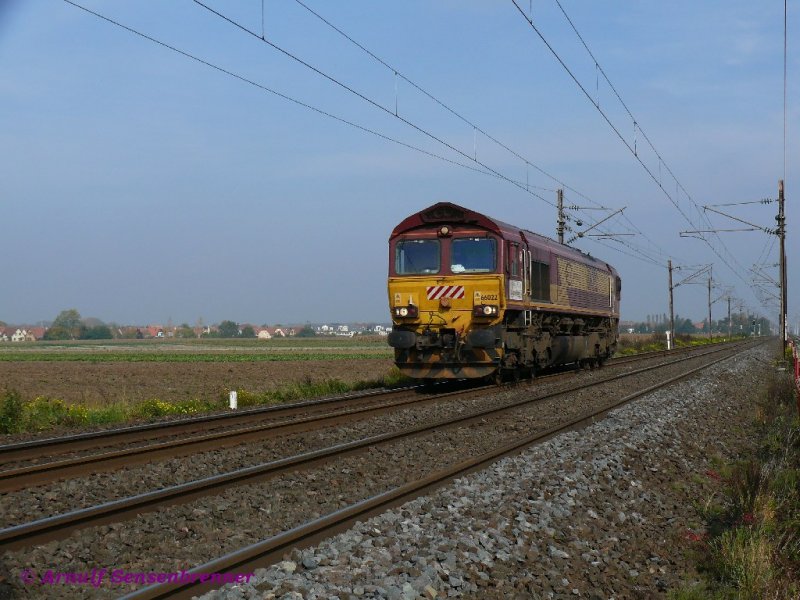 Die private Class66 der EuroCargoRail ECR66022 unter Fahrdraht unterwegs nach S�den auf der els�ssischen Hauptbahn.

11.10.2008 bei Lipsheim