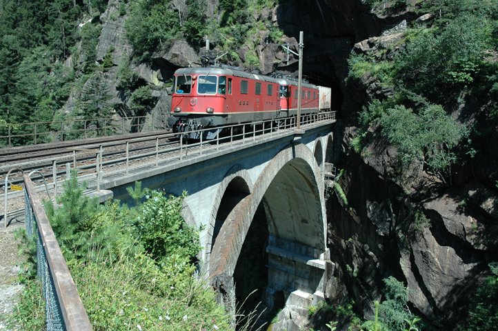 Die Re 4/4 II 11176 und die Re 6/6 11673 ziehen einen Containerzug bergwrts. Am Ende des Zuges folgte noch die Re 6/6 11668. Aufgenommen am 26.7.07 auf der Oberen Maienreussbrcke.