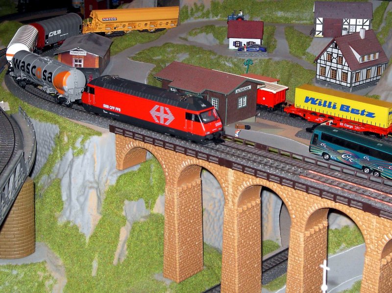 Die Re 460 046 mit einem Gterzug unterwegs auf der Gebirgsbahn. 