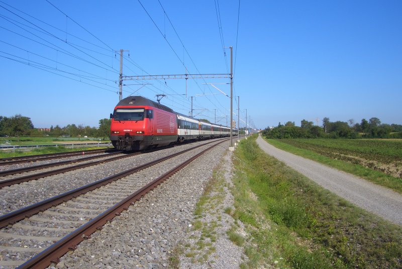Die Re 460 095-3  Bachtel  zieht ihren IR 2136 in Richtung Biel, kurz vor Tgerwilen Dorf, 29.07.09.