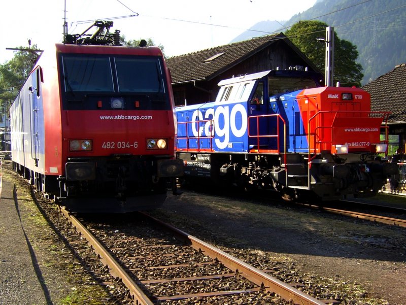 Die Re 482 034 und die Am 843 077 am 08.09.2007 beim Gotthardjubilum in Erstfeld. 