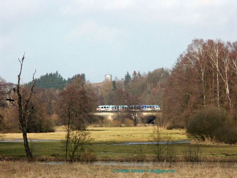 Die Saalebrcke in Hof Moschendorf am 03.03.2009. Der bunte VGB-Desiro passiert grade diese Stelle, die mit dem Tele  erlegt  werden konnte. Die Kormorane auf dem toten Baum trockneten ihre Flgel ausgebreitet in der Luft. Kleines Zusatz-Schaupiel am Rande... Den Fotografen hat es gefreut, den Betrachter hoffentlich auch.