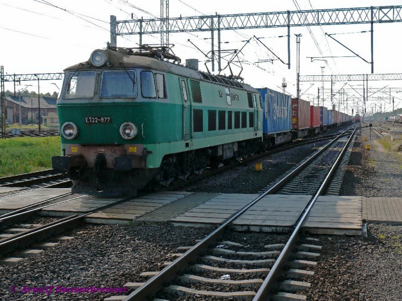 Die schwere polnische Einheitsgterzuglok ET22-877 der PKP fhrt mit einem Containerzug Richtung Osten.
27.09.2008  Rzepin (Reppen)
