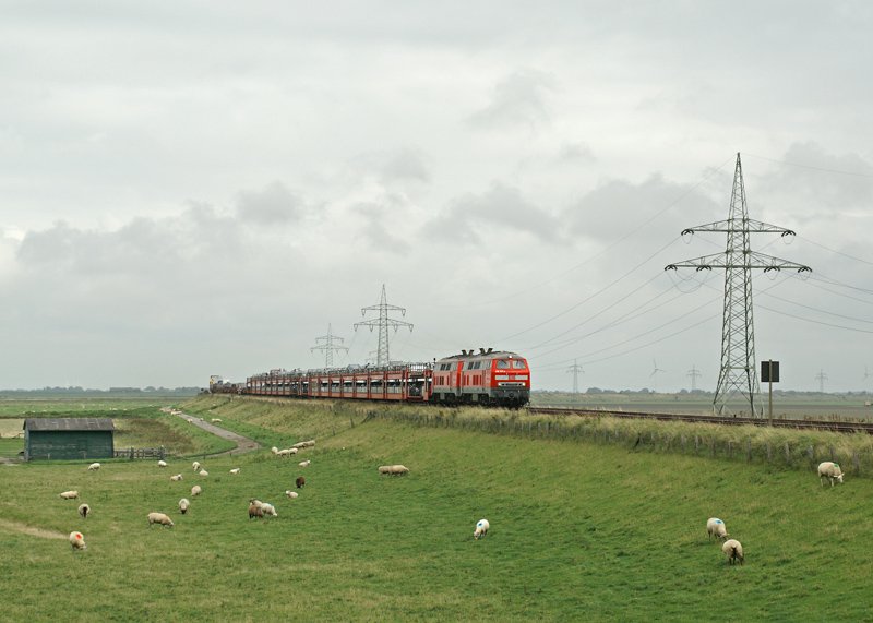 Die Schwesterlokomotiven 218 371-3 und 218 372-3 bringen am 26.08.2008 einen SyltShuttle nach Westerland.Die Aufnahme entstand kurz vor Erreichen des Hindenburgdamms.Vielen Dank an dieser Stelle an den Landwirt, der mich bei seiner Schafsvisite zu dieser Fotostelle brachte.