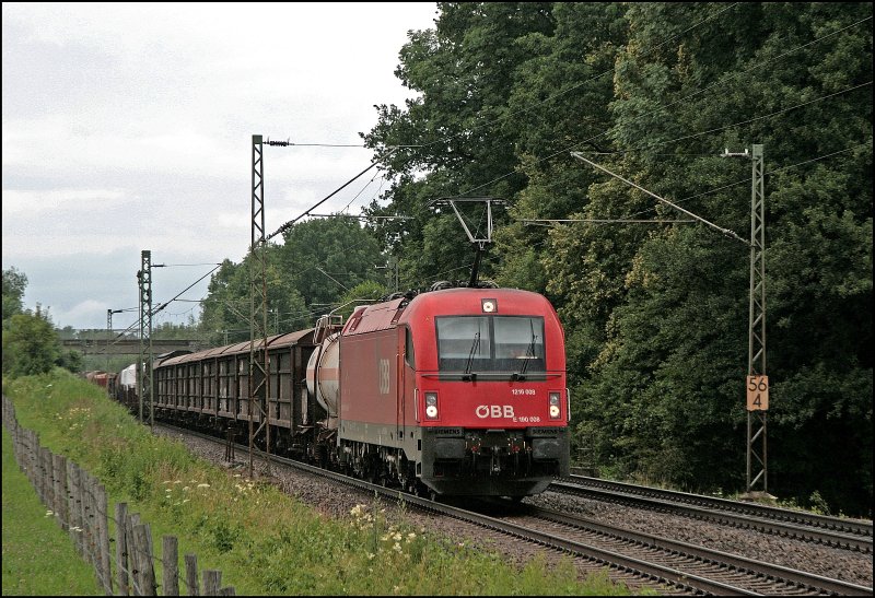 Die Taurus III Dichte ist zwischen M�nchen und Salzburg sehr hoch. Hier bringt die 1216 008 (E190 008) einen gemischten G�terzug bei Vogl in Richtung Salzburg. (09.07.2008)
