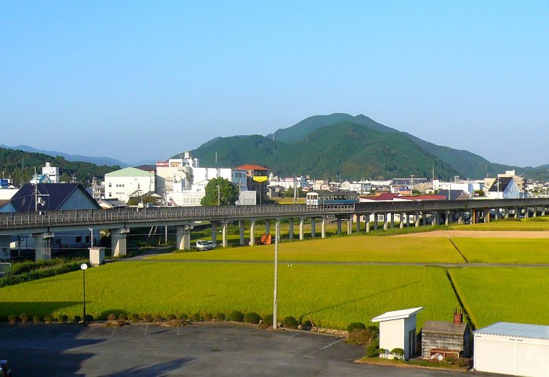 Die Tosa Kuroshio-Bahn (Westabschnitt): Im Abendlicht fhrt Wagen 8004 auf den  Stelzen  der neuen Linie nach Sukumo ber die reifen Reisfelder davon. Sukumo, 19.September 2009. 
