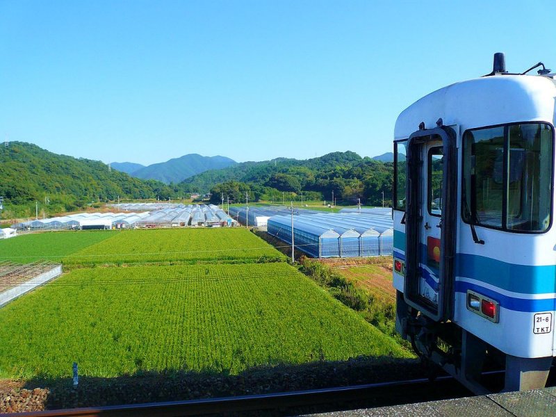 Die Tosa Kuroshio-Bahn (Westabschnitt), Triebwagen 8002 in Ukibuchi mit Blick auf die wundersch�n gepflegten Felder und Glash�user f�r den Gem�seanbau. 20.September 2009.