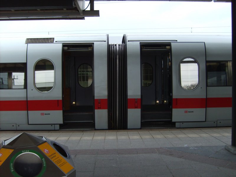 Die Tren eines ICE 1 + Mlleimer. Karlsruhe, 27.02.09