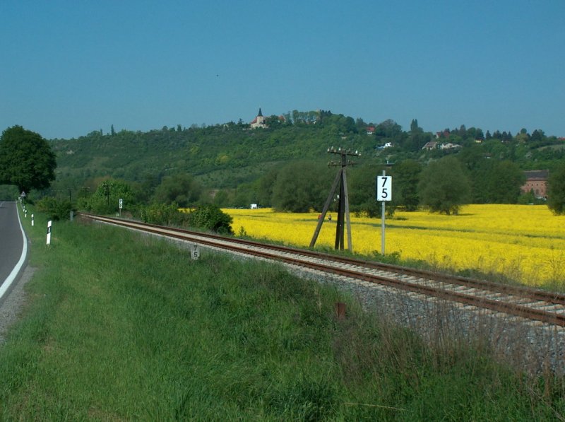 Die Unstrutbahn zwischen Freyburg (Unstrut) und Balgstdt, unterhalb vom Kloster Zscheiplitz; 12.05.2008