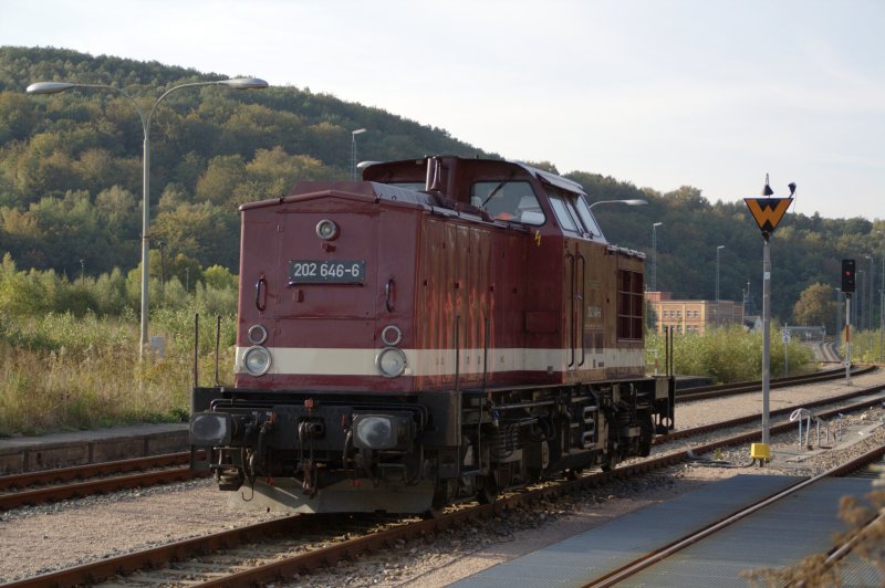 Die V100 (202 646-6) der DB Erzgebirgsbahn wartet am 23.09.09 im Bahnhof Aue auf neue Aufgaben. Die Lok wird zur Zeit zu Testfahrten f�r die neue ESTW-Anlage im Bahnhof Schwarzenberg genutzt.