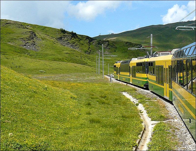 Die Zge der Wengernalpbahn passen farblich wunderbar in die sommerliche Landschaft zwischen Kleine Scheidegg und Grindelwald. 30.07.08 (Hans) 