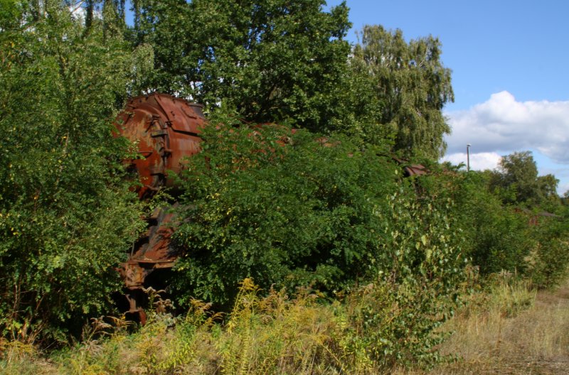 Diese 50'35 ist fast vollstndig eingewachsen, gesehen am 12.09.09 im ehemaligen BW Falkenberg oberer Bahnhof. Die Sammlung ist nur an wenigen Wochenenden im Jahr zugnglich, hier soll aber in naher Zukunft ein Eisenbahnmuseum entstehen. 