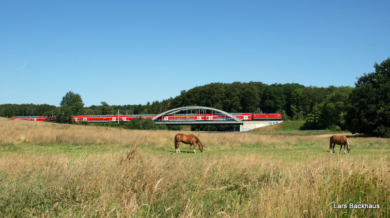 Diese beiden Pferde waren nicht sehr daran interessiert ihre Aufmerksamkeit dem RE 21412 zu schenken, der gerade die Brcke ber der B 75 berquert und weiter Richtung Reinfeld (Holst.) brettert. Aufgenommen am 16.07.09 bei Sehmsdorf. 