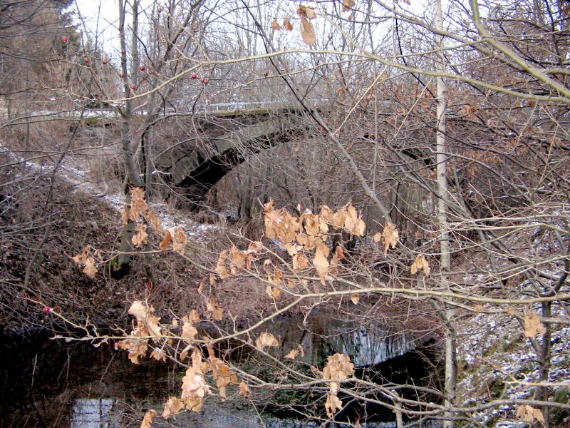 Diese Brcke fhrte einst ber die Eisenbahnstrecke Stollberg-Zwnitz die jetzt zum Feuchtbiotop mutiert ist. Teilweise knietief steht hier das Wasser, was ich bei 2Plus nicht ausprobieren wollte. Stollberg 31.01.08
