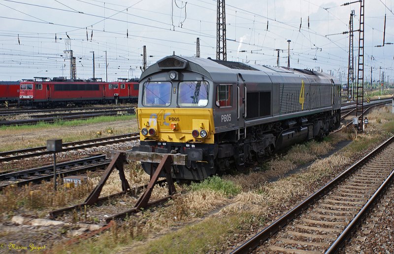 Diese Class 66 kam mir gestern bei der Durchfahrt von Grokorbetha ( bei Leuna) vor die Linse. Die Aufnahme entstand aus einem fahrenden Zug heraus. 