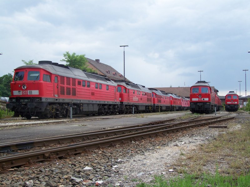 Diese Dieselloks der Br.232 und 233 warten im Gterbereich und in der nhe des BW´s von Nrnberg auf ihren nchsten Einsatz. Aufgenommen am 2.Juni.07