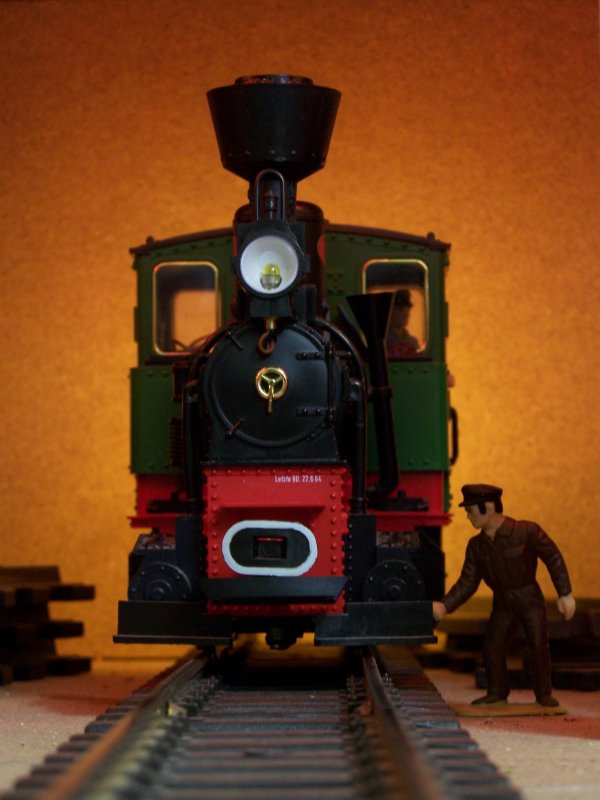 Diese Lok feiert in deisem Jahr ein Jubilum, die Lok fhrt nun schon seit genau 10 Jahren auf meiner Modellbahn, mittlerweile sind noch mehr Loks dazu gekommen, das heit also, dass auch auf meiner Modellbahn die Dampfloks von modernen Loks wie Z.b. 101er oder 182er verdrngt werden. Hier auf dem Bild wird die Lok von dem Heizer (Name: Heinz) gepflegt. Aufgenommen im BW auf Etage 2 meiner Modellbahn.