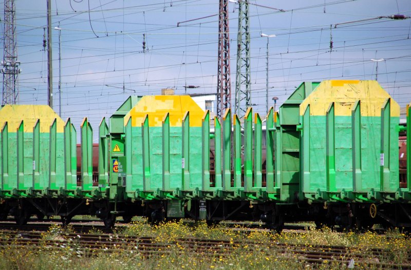 Diese Rungenwagen sahen wir am 03.08.09 im Rbf Magdeburg-Rothensee. Welcher Bahngesellschaft geh�ren die?
