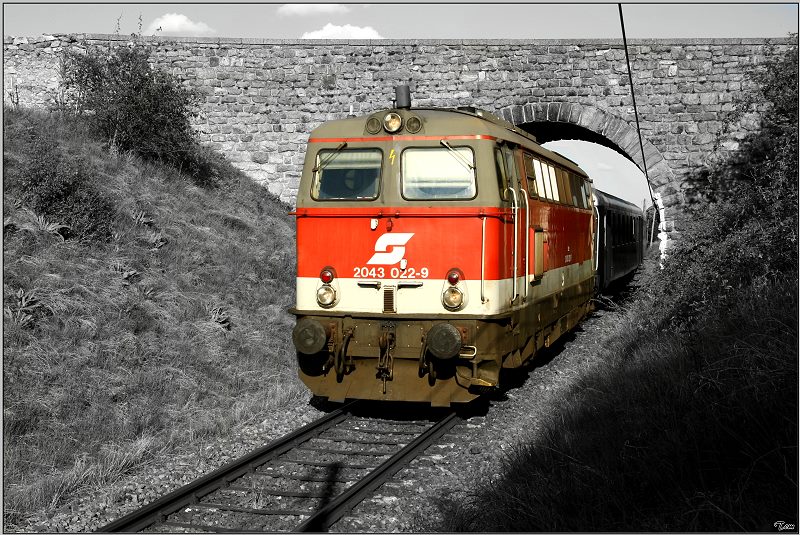 Diesellok 2043 022 zieht den EZ 1998  Wachau  von Krems nach Linz. 
Unterloiben 19.04.2009