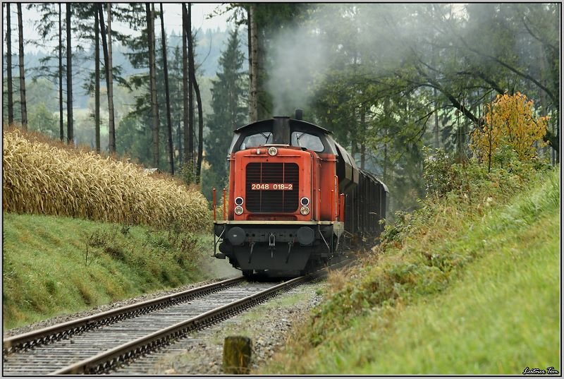 Diesellok 2048 018 f�hrt mit einem G�terzug von Timelkam nach Ampflwang.
4.10.2008