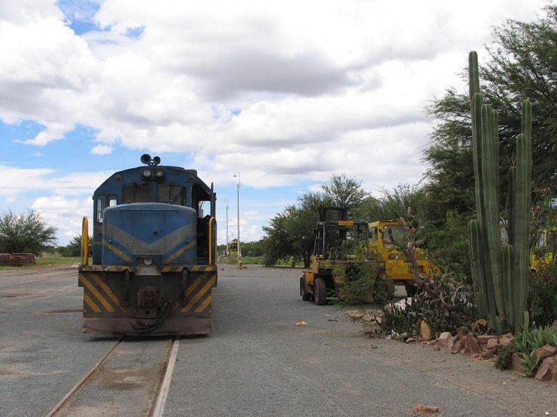 Diesellok 205 mit eine Gterzug neben einem Kaktus auf Bahnhof Gobabis am 27-2-2009.