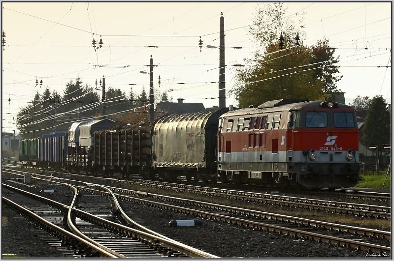 Diesellok 2143 045 fhrt mit einem gemischten Gterzug in den Zeltweger Bahnhof ein.
15.10.2008