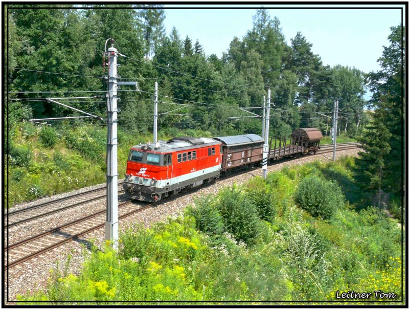 Diesellok 2143 064 ist unterwegs mit einem G�terzug nach Unzmarkt in der Steiermark.Fotografiert im Murwald bei Zeltweg 19.07.2007