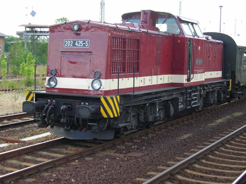 Diesellok der Baureihe 202 mit Sonderzug in Lbbenau am 06.07.06