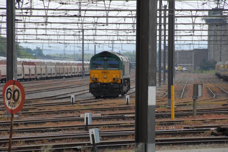 Diesellok PB 01 (Class 66) der Rail4Chem am21.05.2008 im Gterbahnhof Montzen (B)