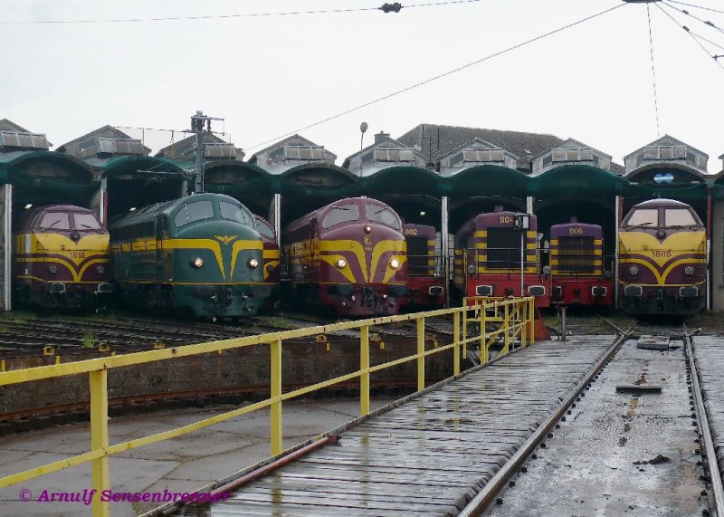 Dieselloktreffen am Luxemburger Ringlokschuppen:
Von links nach rechts stehen hier folgende Loks: CFL-1818 + PFT/TSP-202.020(ex CFL1602) + CFL-1603 (etwas verdeckt) + CFL-1604 + CFL-802 + CFL-804 + CFL-806 + CFL-1806.

10.05.2009
Luxemburg - 150 Joer Eisebunn zu Ltzebuerg