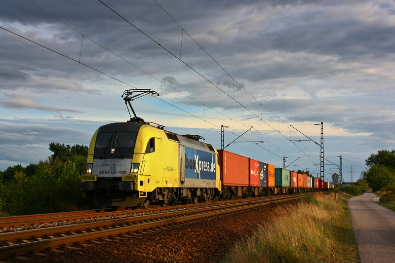 Dieser Boxer war am 03.09.09 bei Wiesental auf dem Weg richtung Norden.