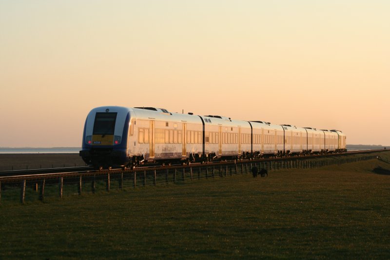 DISPOLOK ER20-001 am Abend des 23.4.2008 auf der Fahrt von Sylt in Richtung Niebll in Hhe Hindenburgdamm.
