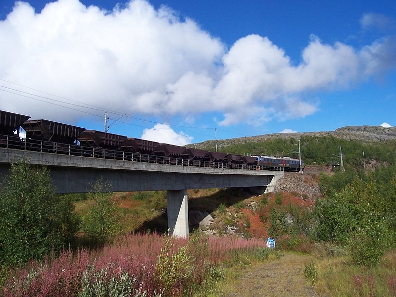 Dm3 mit leeren Erzzug von Narvik nach Kiruna passiert am 01.09.2007 die Betonbrcke vor der Bedarfshaltestelle Ssterbekk, schn ist die beginnende Herbststimmung, und, was man nicht sieht, die vielen Speisepilze.  