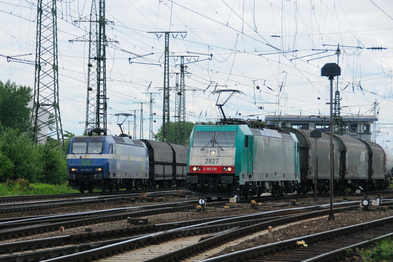 Doppelausfahrt aus Kln-Gremberg: Lok 14 der NIAG (481 004-0) und ein  belgischer Seehund , 2827 der SNCB (E 186 219), ziehen ihre Gterzge an den wartenden Fotografen vorbei. (Mai 2009).