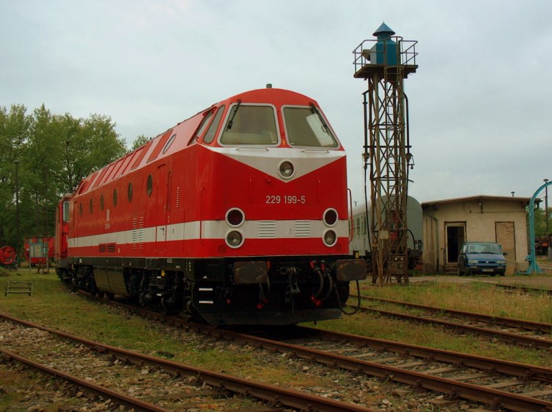 DR 229 199-5 im Bw Weimar; 10.05.2009